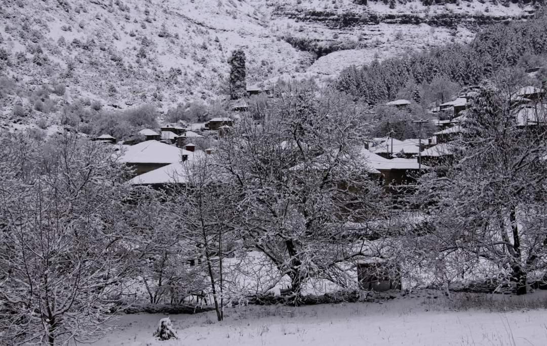 Xenonas Zagorisio Apartamento Tsepelovo Quarto foto